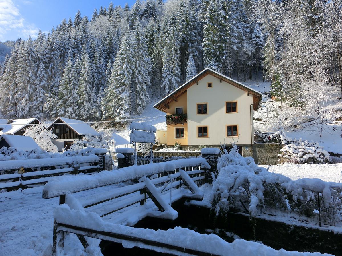 Gaestehaus Forstner Apartment Loich Exterior photo